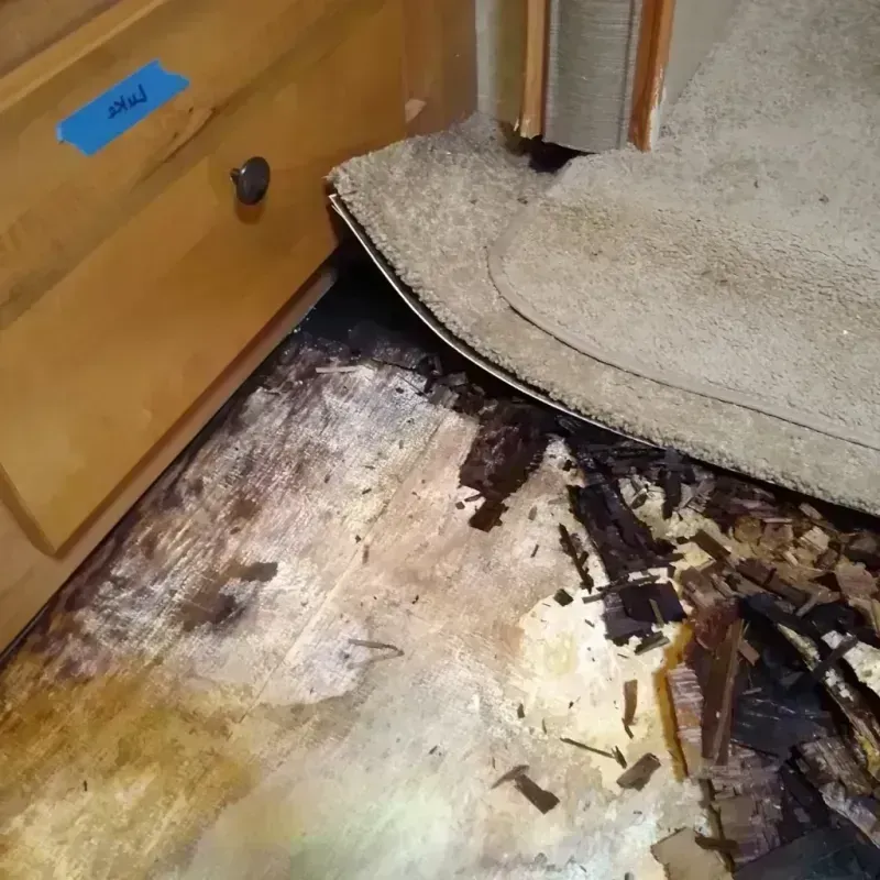 Best Wood Floor Water Damage Service in Huerfano County, CO